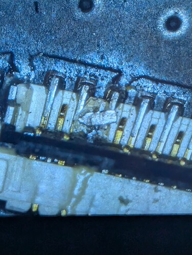 PXL_20250207_210312053.MP