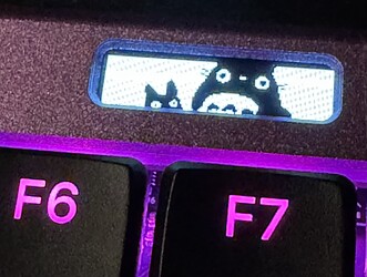 totoro